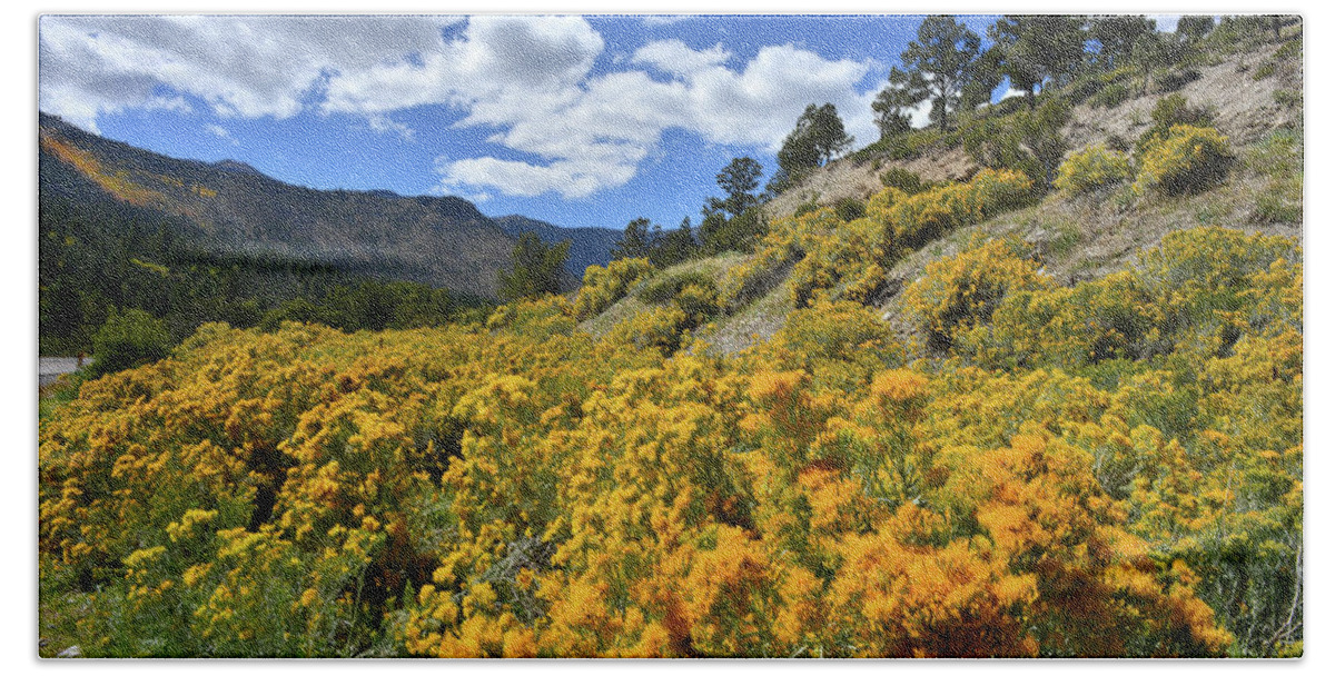 Humboldt-toiyabe National Forest Beach Towel featuring the photograph Fall Colors Come to Mt. Charleston by Ray Mathis