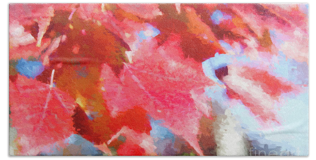 Leaf Beach Towel featuring the digital art Fall Colors by Ed Taylor