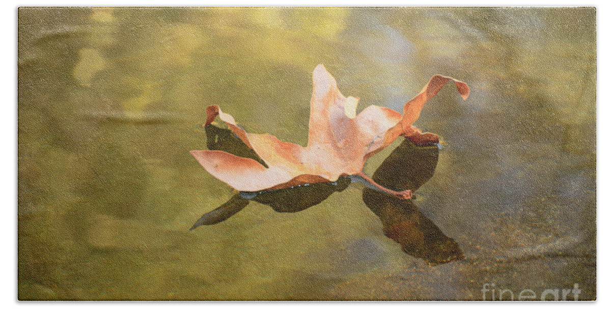 Autumn Beach Sheet featuring the photograph Fall Leaf Floating by Debby Pueschel