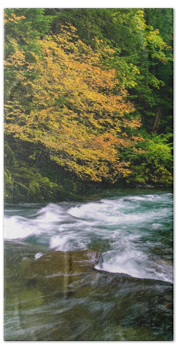 Landscapes Beach Towel featuring the photograph Fall on the Clackamas River, OR by Steven Clark