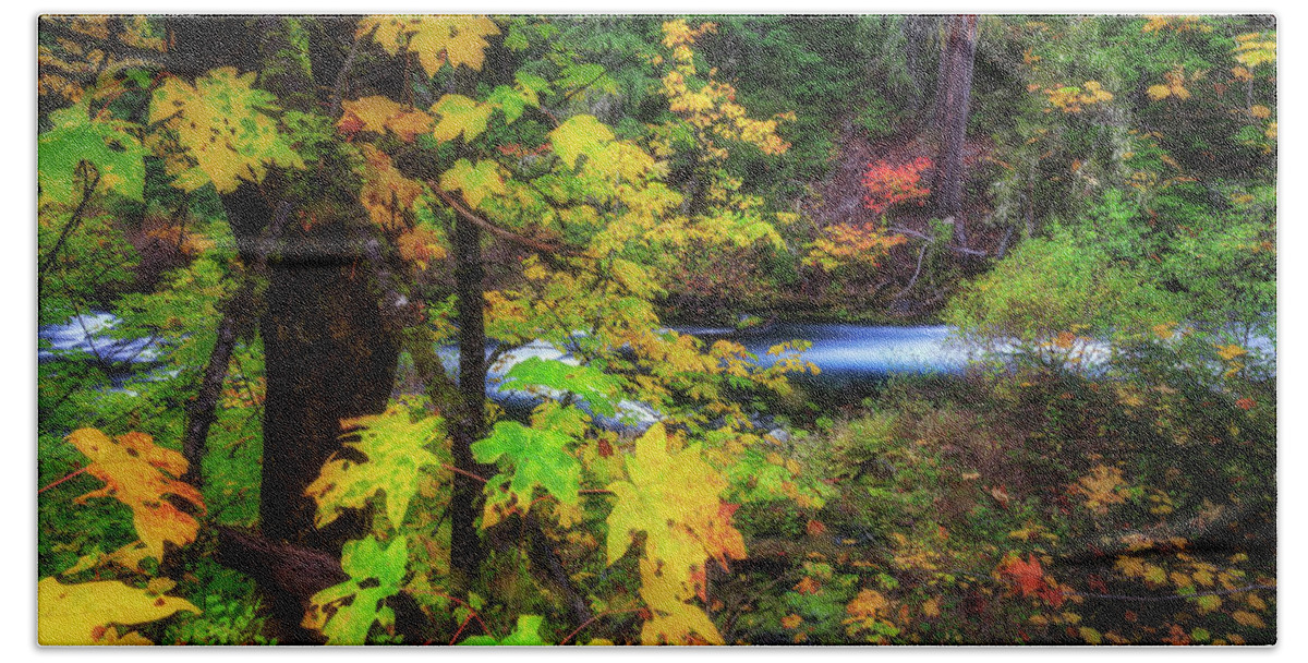 Fall Beach Towel featuring the photograph Fall on the Deschutes by Cat Connor