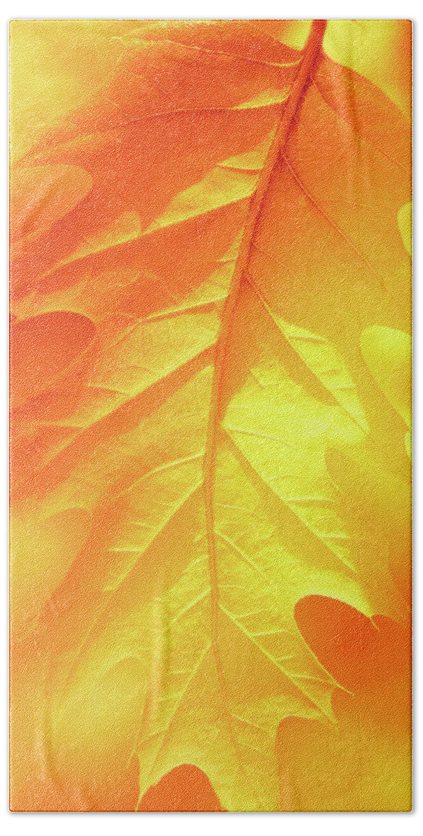 Leaf Beach Towel featuring the photograph Fall Shade by Iryna Goodall