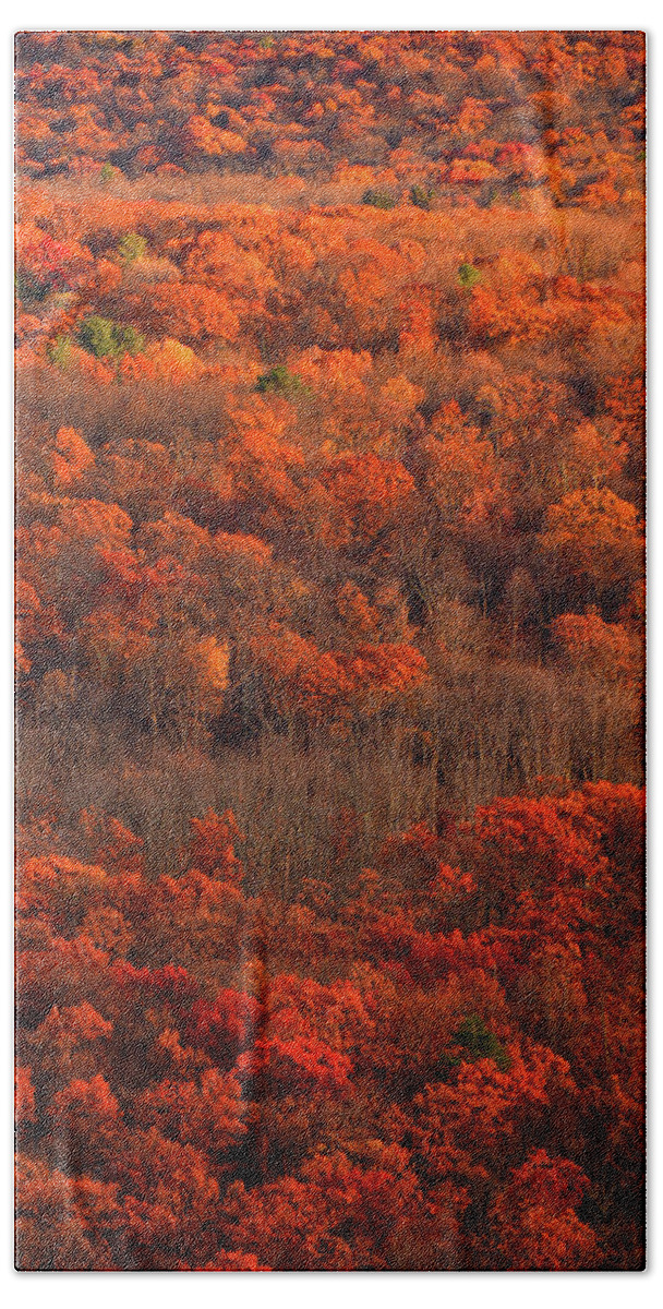 Fall Trees Along The At Beach Towel featuring the photograph Fall Trees along the AT by Raymond Salani III