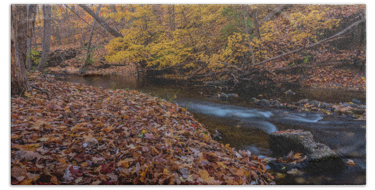 Fall Beach Sheet featuring the photograph Fall in Michigan 1 by Pravin Sitaraman