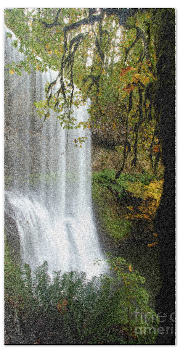 Silver Falls State Park Beach Towel featuring the photograph Falls Though The Trees by Adam Jewell