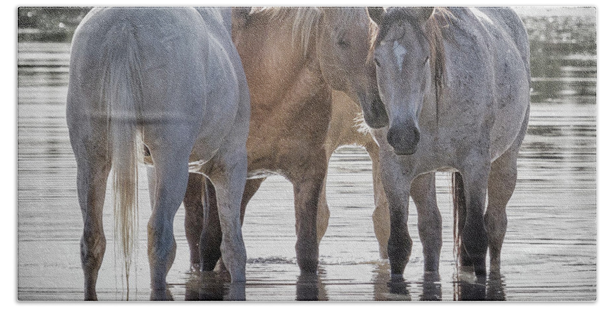 Wild Horses Beach Towel featuring the photograph Family Time Sq by Belinda Greb