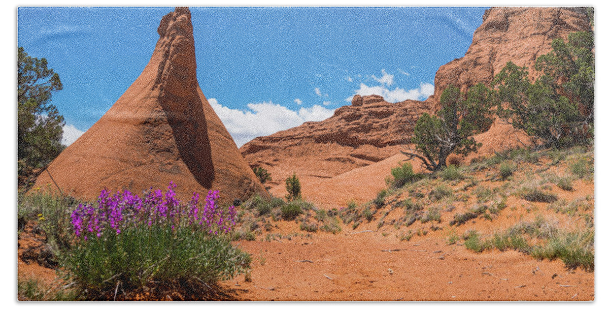 Utah Beach Towel featuring the photograph Fanciful Wildflowers Kodachrome State Park Utah by Lawrence S Richardson Jr