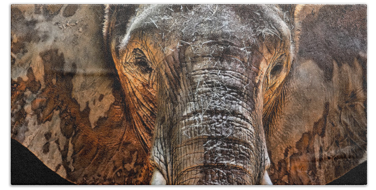 Elephant Beach Towel featuring the photograph Fearless by Janet Fikar