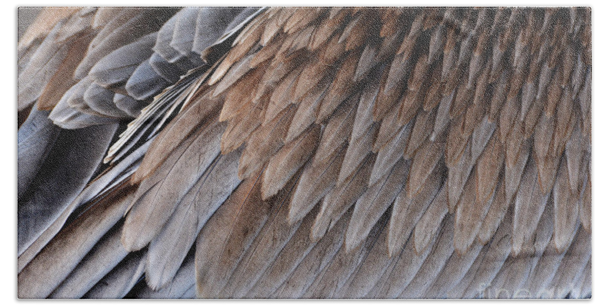 Feathers Beach Towel featuring the photograph Feathers Cascade by Lorenzo Cassina