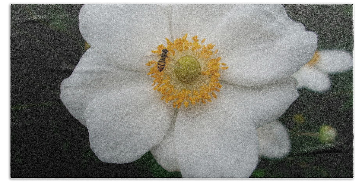 Bee Beach Towel featuring the photograph Feeling At Home by Allen Nice-Webb
