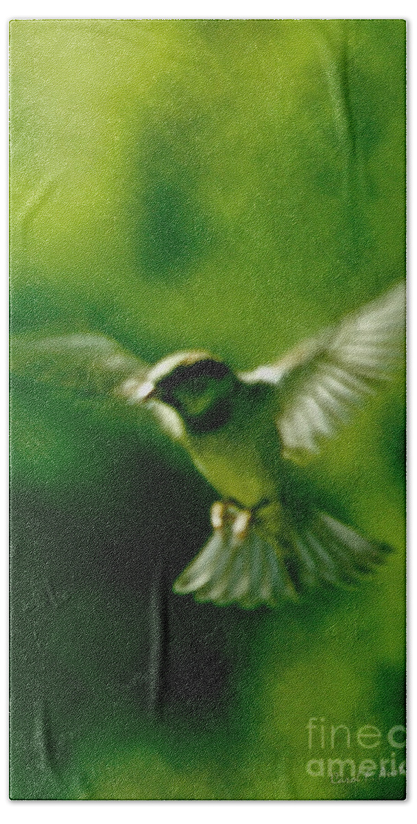 Animal Beach Sheet featuring the photograph Feeling Free As A Bird Wall Art Print by Carol F Austin
