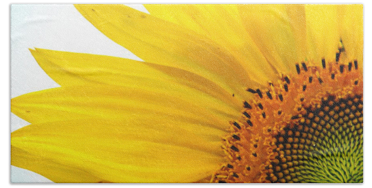 Sunflower Beach Towel featuring the photograph Feeling Sunny by Angela Davies
