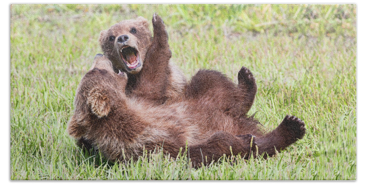 Grizzly Bears Beach Towel featuring the photograph Ferocious by Mark Harrington