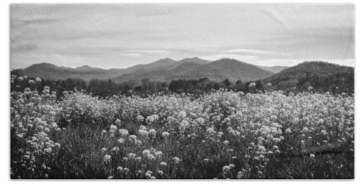 Field Beach Towel featuring the photograph Field Of Flowers In Black and White by Greg and Chrystal Mimbs