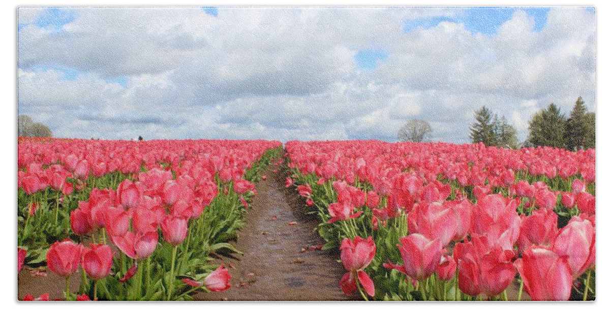 Tulip Beach Towel featuring the photograph Field of Pink by Brian Eberly