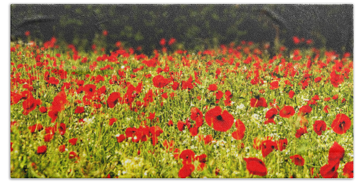 Poppy Beach Towel featuring the photograph Field of red and green. by John Paul Cullen