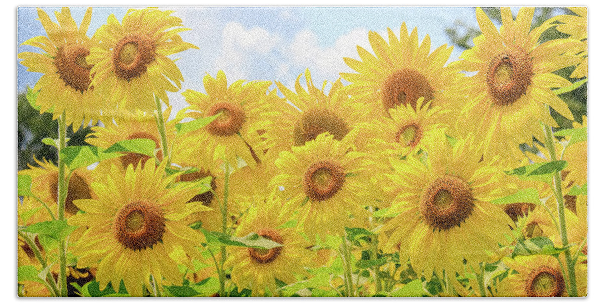 Dupage County Beach Towel featuring the photograph Field of Sunflower Sunshine by Joni Eskridge