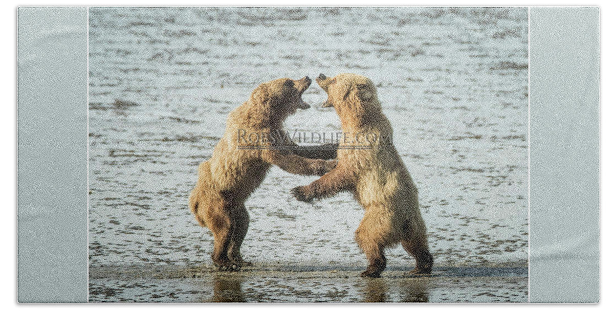 @lakeclarknps Beach Towel featuring the photograph Fights On by Rob Daugherty