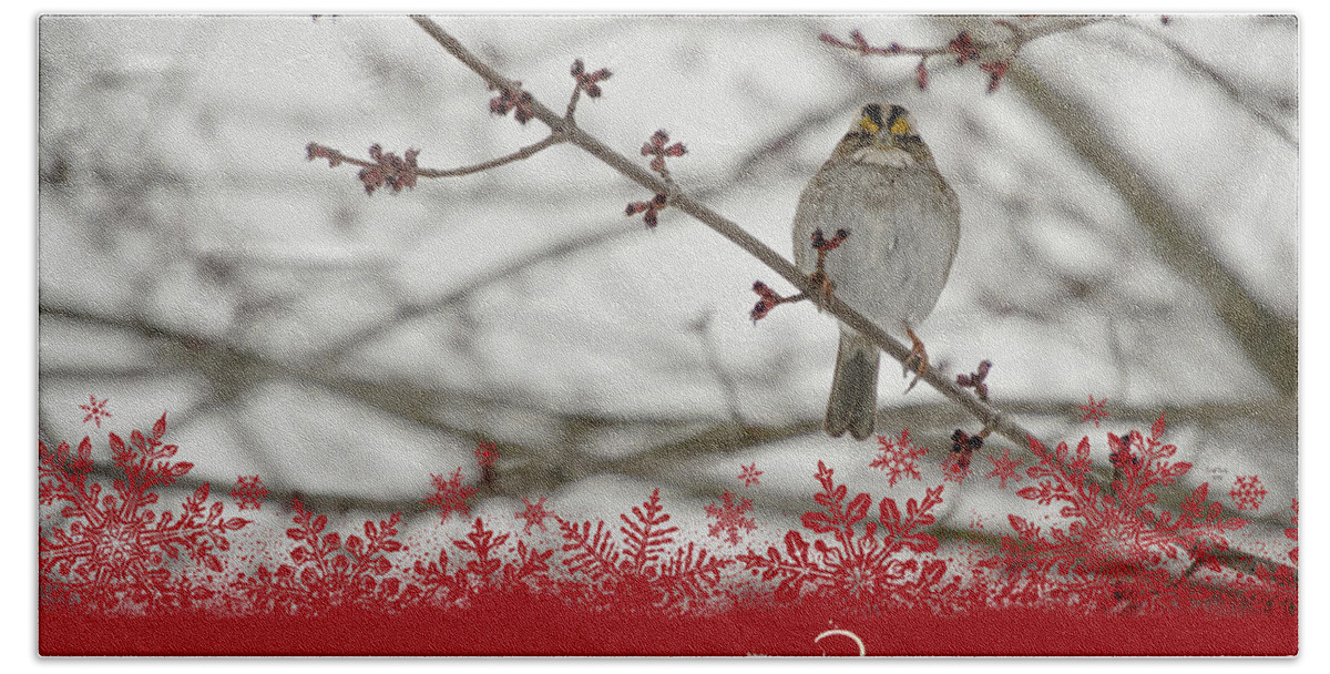Christmas Beach Sheet featuring the mixed media Finch Christmas by Trish Tritz