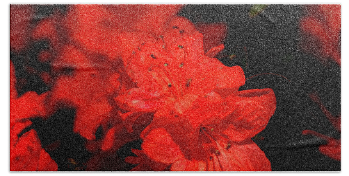 Tamyra Beach Towel featuring the photograph Fire Red Azaleas by Tamyra Ayles