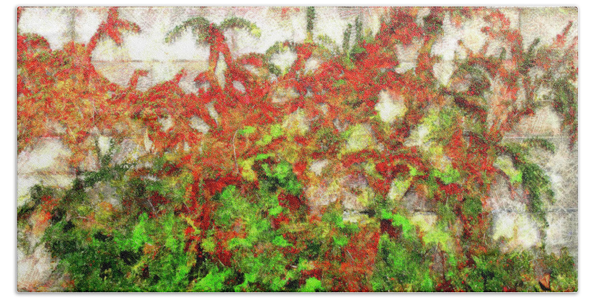 Pyracantha Fire Thorn Vine Red Berries Evergreen Garden Red Bricks Beach Towel featuring the digital art Fire Thorn - Pyracantha by Leslie Montgomery