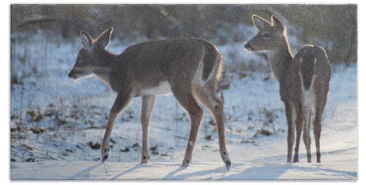 Deer Beach Sheet featuring the photograph First Snow by Bill Stephens
