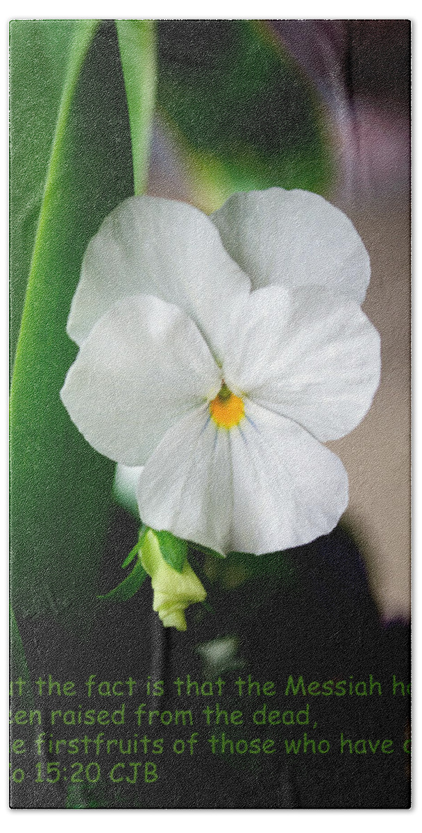 New Beginnings Beach Towel featuring the photograph Firstfruits by Tikvah's Hope