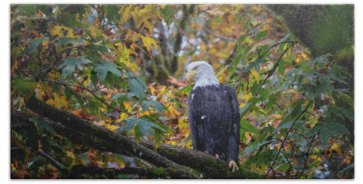 Bald Eagle Beach Towel featuring the photograph Fish Counter by Randy Hall