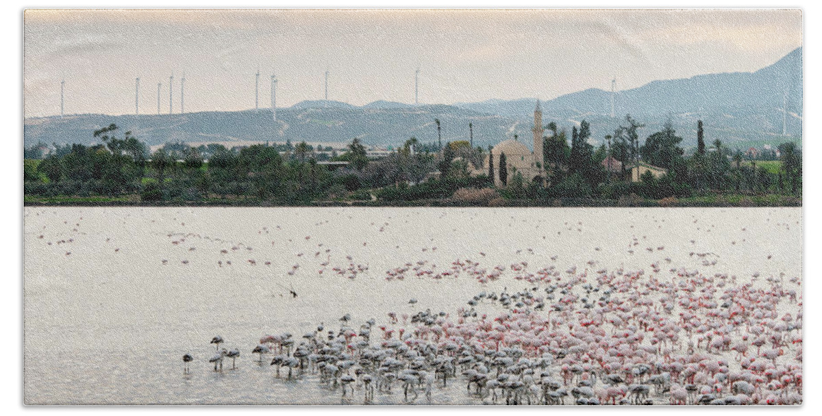 Flamingos Beach Towel featuring the photograph Flamingo birds in the lake by Michalakis Ppalis
