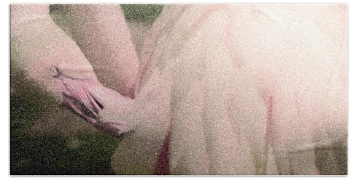 Cathy Donohoue Photography Beach Towel featuring the photograph Flamingo Feathers by Cathy Donohoue