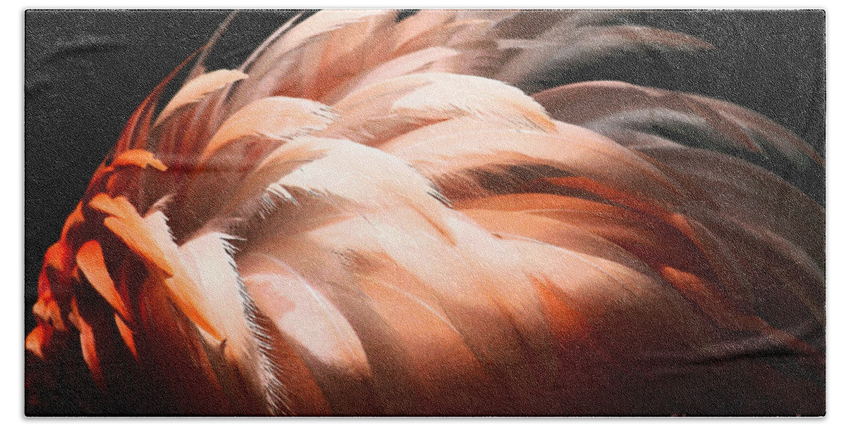 Feathers Beach Sheet featuring the photograph Flamingo Feathers by Sabrina L Ryan