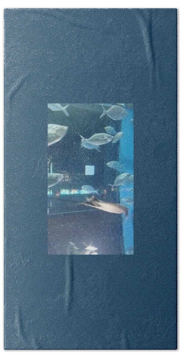 Flat Beach Towel featuring the photograph Flat Fishes by Moshe Harboun