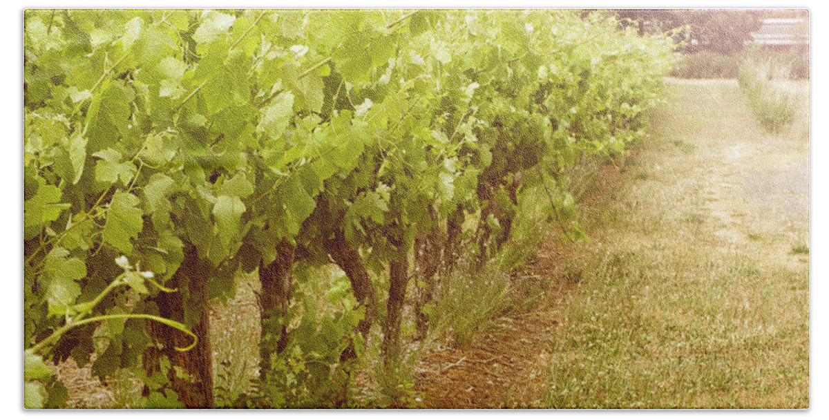 Wine Beach Towel featuring the photograph Fleurieu grapevines by Milleflore Images