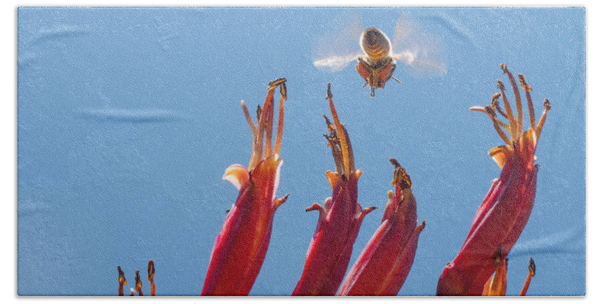 Flowers Beach Towel featuring the photograph Flight of the Bumble Bee by Derek Dean
