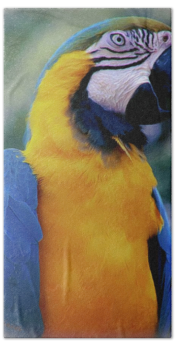Macaw Beach Towel featuring the photograph Flirtacious Macaw by DigiArt Diaries by Vicky B Fuller