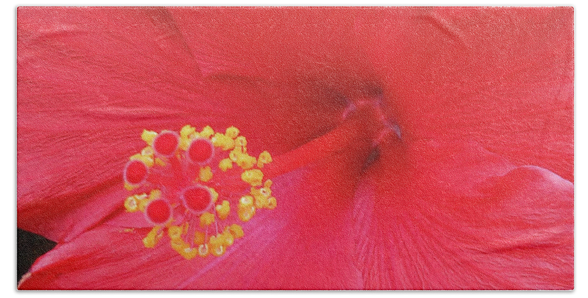 Red Beach Towel featuring the photograph Floral Beauty 2 by Vickie G Buccini