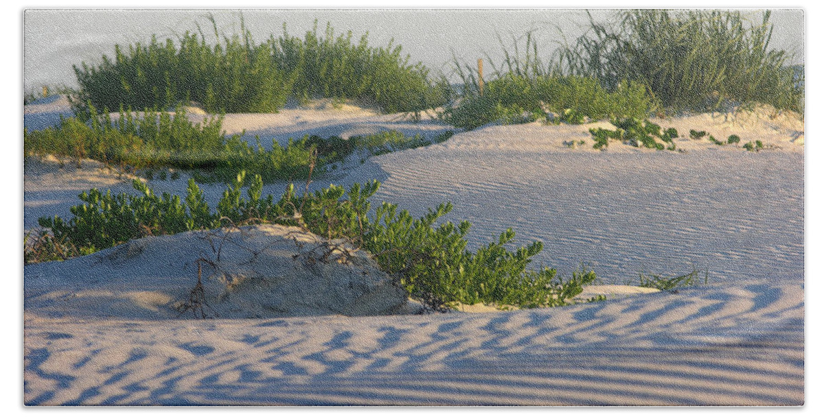 Florida Beach Towel featuring the photograph Florida dunes by Julianne Felton