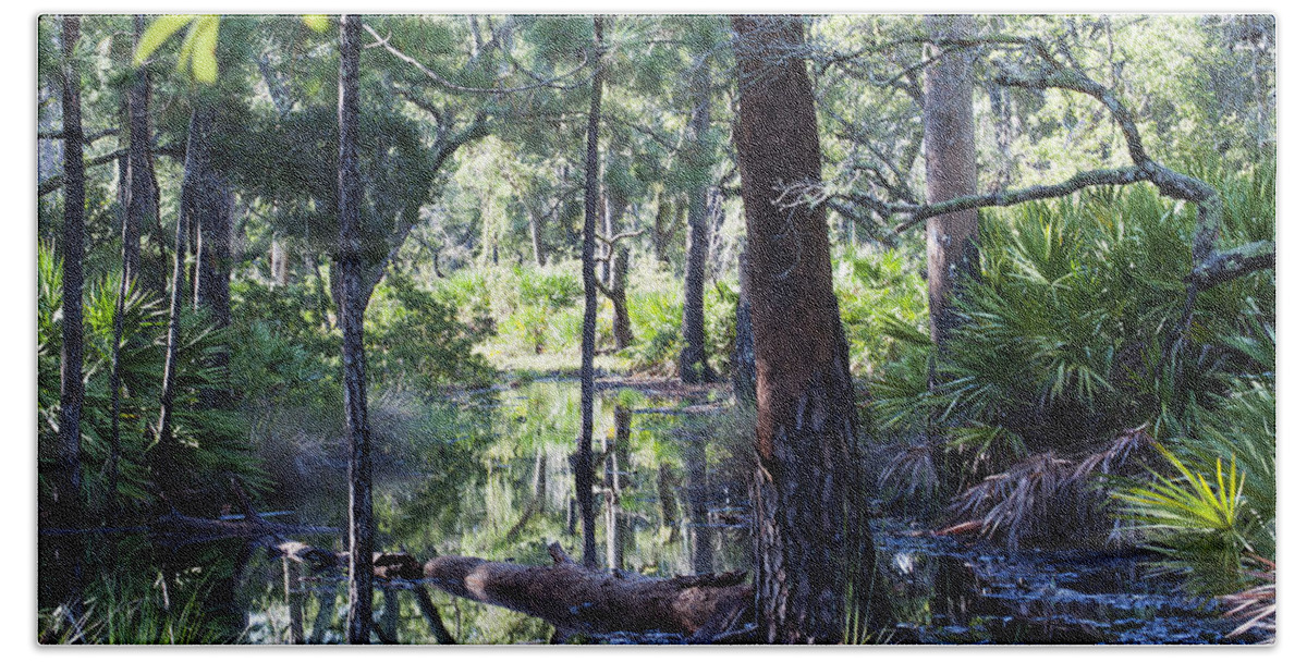 Nature Beach Towel featuring the photograph Florida Swamp by Kenneth Albin