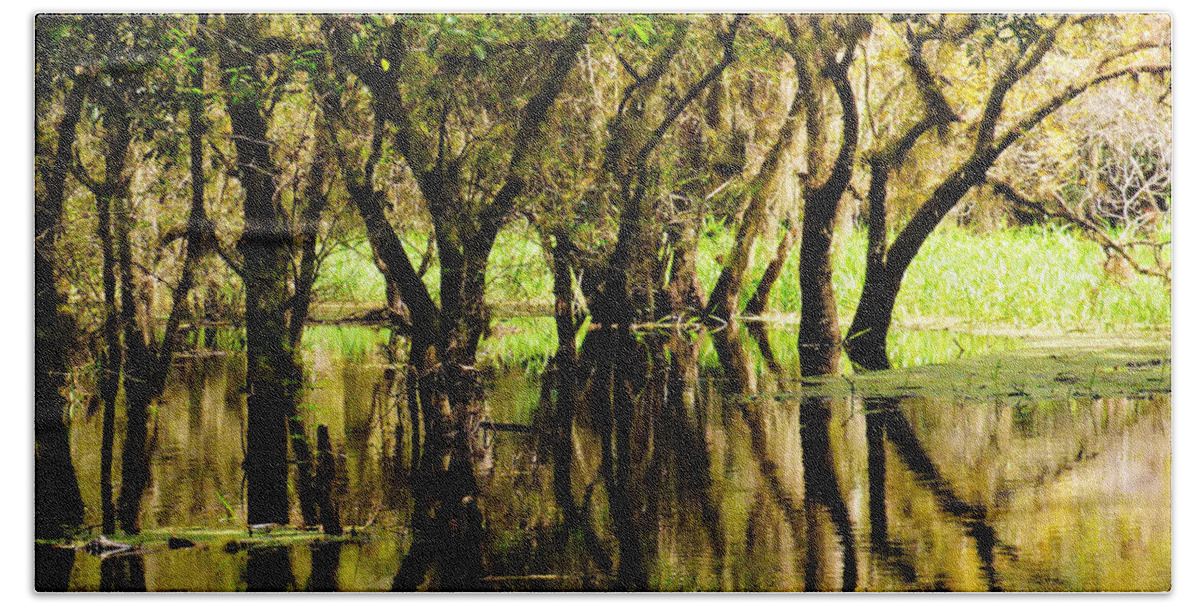 Swamp Beach Sheet featuring the photograph Florida Swamp by Rosalie Scanlon