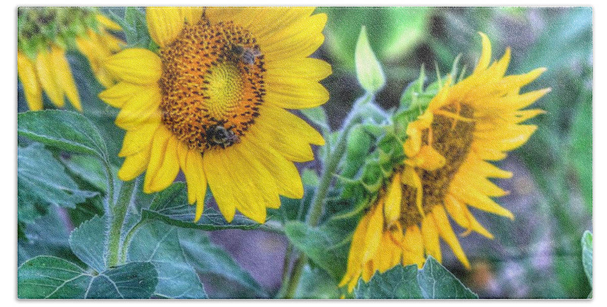 #sunflower Beach Sheet featuring the photograph Flower #41 by Albert Fadel