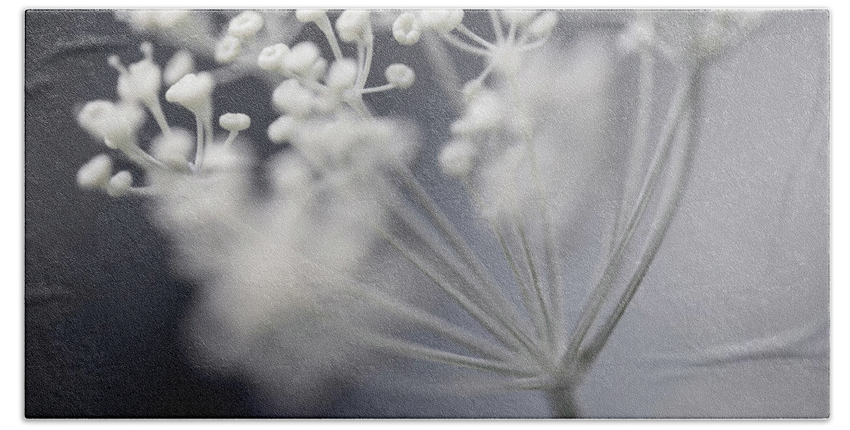 Dill Beach Sheet featuring the photograph Flowering dill cluster by Elena Elisseeva