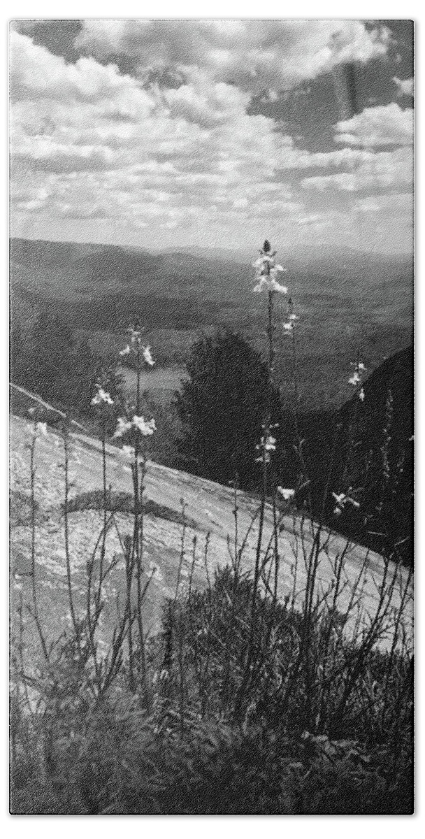 Kelly Hazel Beach Sheet featuring the photograph Flowers at the Top of Table Rock Trail by Kelly Hazel