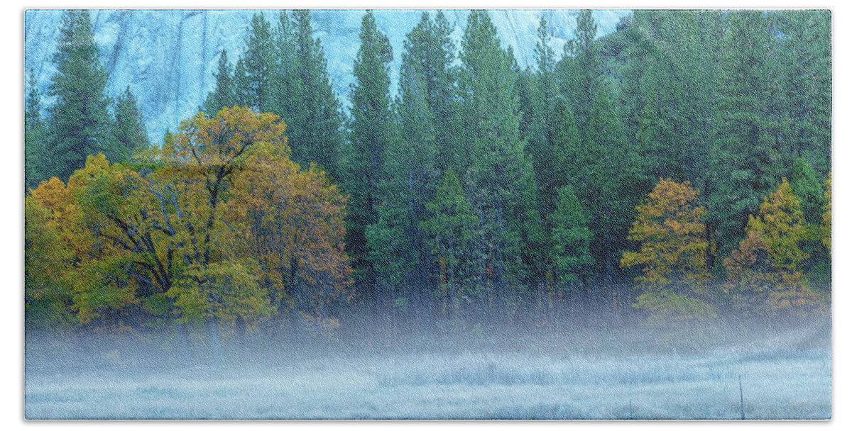 Nature Beach Towel featuring the photograph Fog-Frost-Fall by Jonathan Nguyen