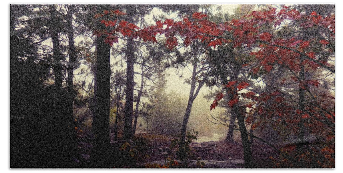 Forest Beach Towel featuring the photograph Foggy forest by Ryan Cruse