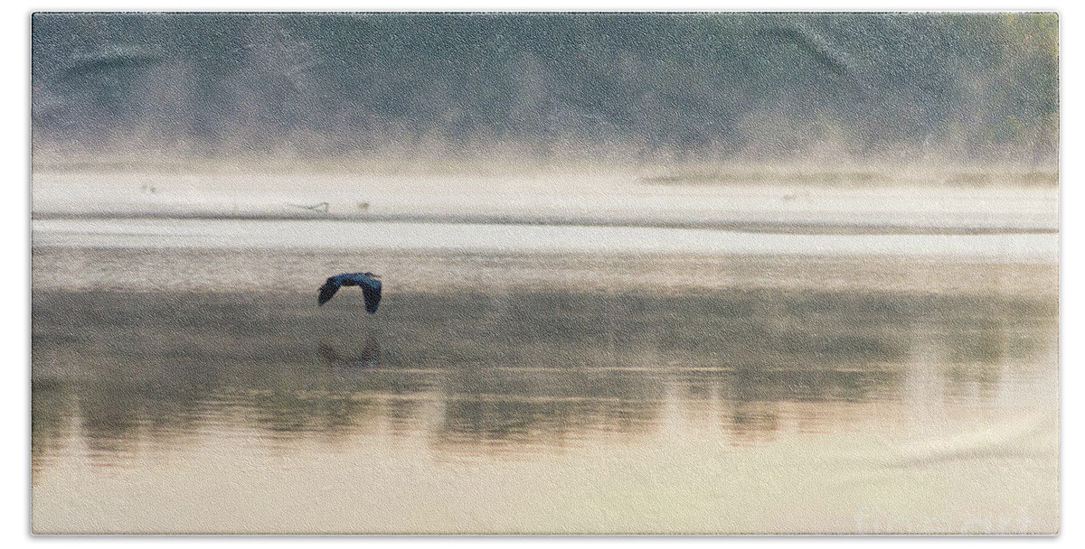 Great Blue Heron Beach Towel featuring the photograph Foggy Morning Flight by Jennifer White