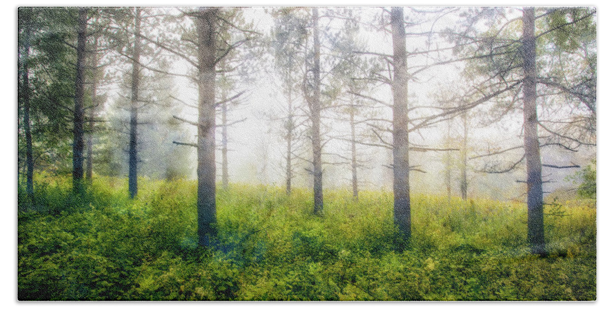Jennifer Rondinelli Reilly Beach Towel featuring the photograph Foggy Woods - Wisconsin by Jennifer Rondinelli Reilly - Fine Art Photography
