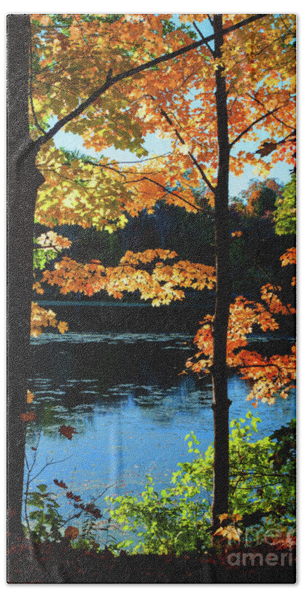 Fall Foliage Beach Sheet featuring the photograph Foliage by the Nashua River by Anita Pollak