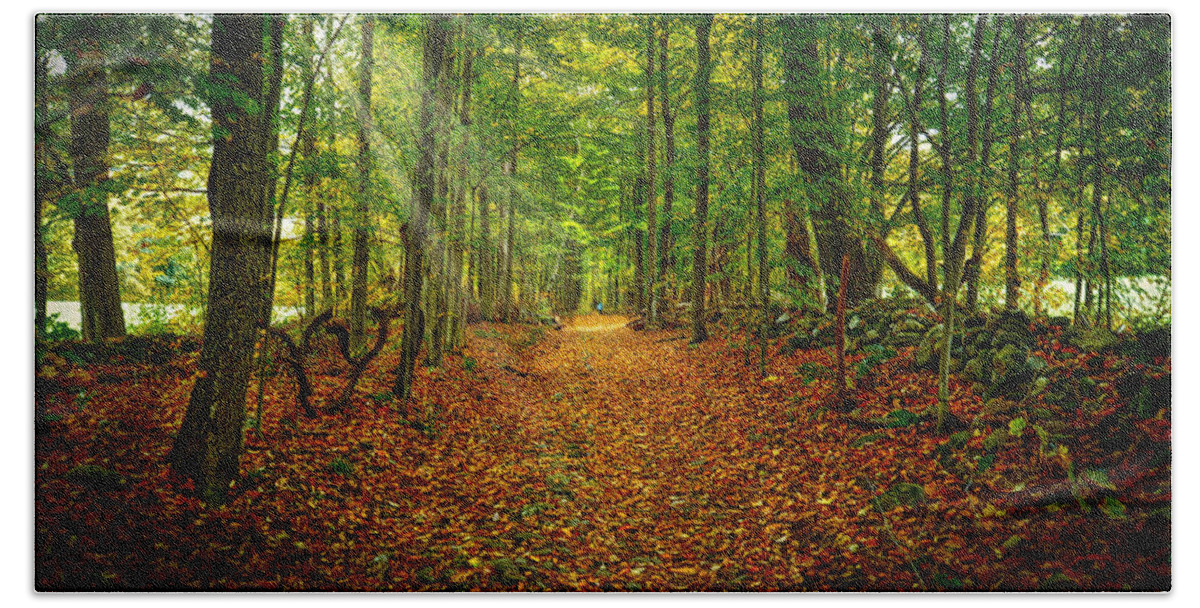 Greylock Mountain Beach Towel featuring the photograph Follow the Yellow Leaf Road by Richard Gehlbach