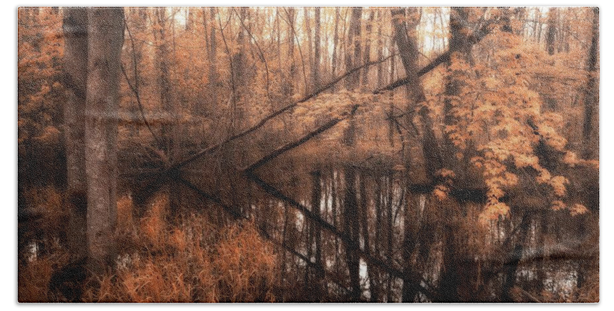 Forest Beach Towel featuring the photograph Forest Directional by Karl Anderson