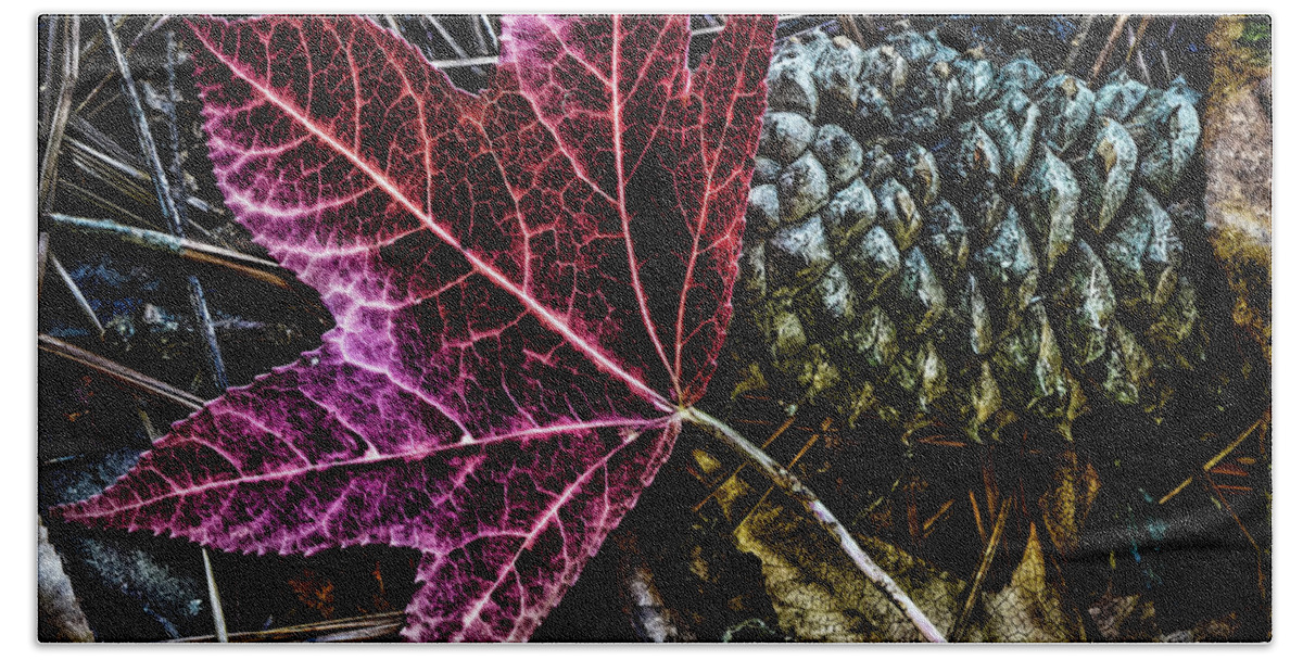 Landscape Beach Towel featuring the photograph Forest Floor by Joe Shrader